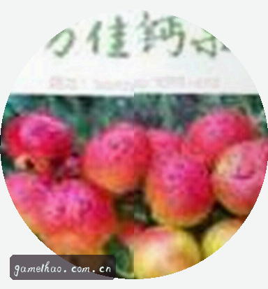 吴静